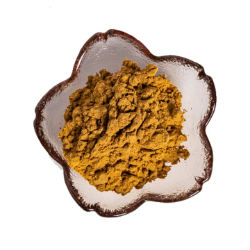 factory supply angelica root extract powder 10:1 for women's health care